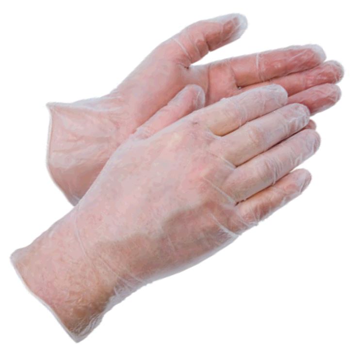 Disposable Powder Free Vinyl Gloves - Large (Pack of 100)